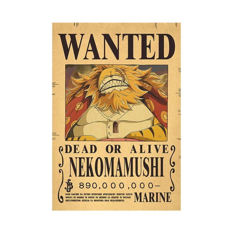 One Piece - Avis de recherche