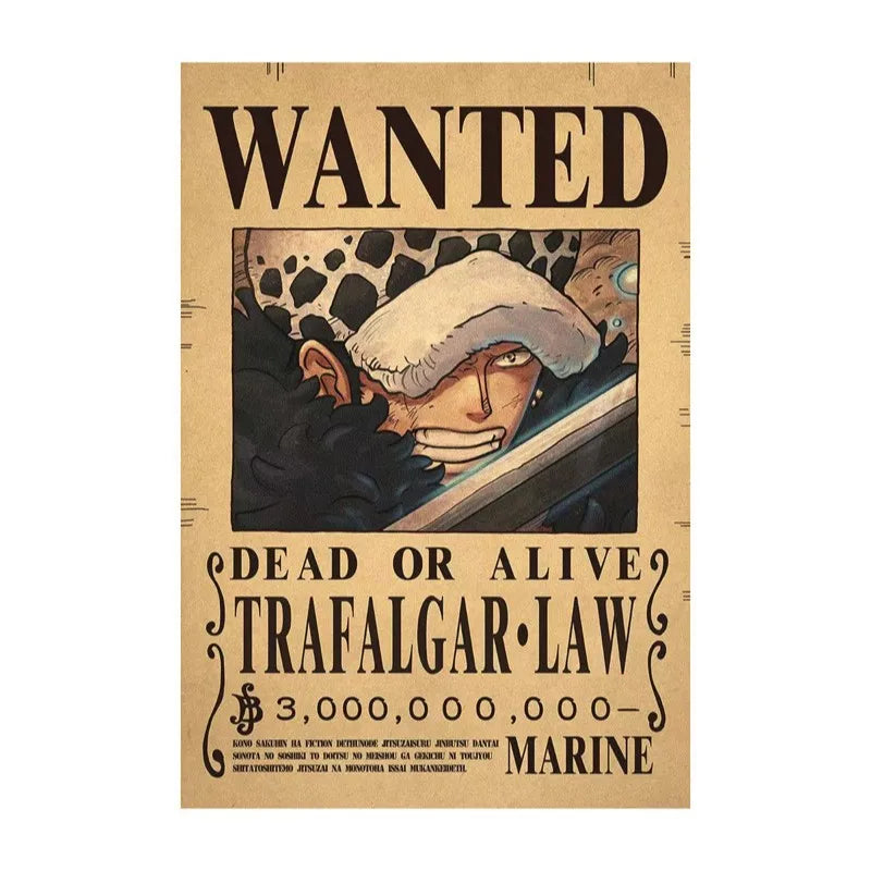 One Piece - Avis de recherche