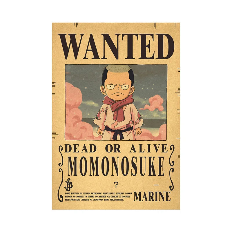 One Piece - Avis de recherche