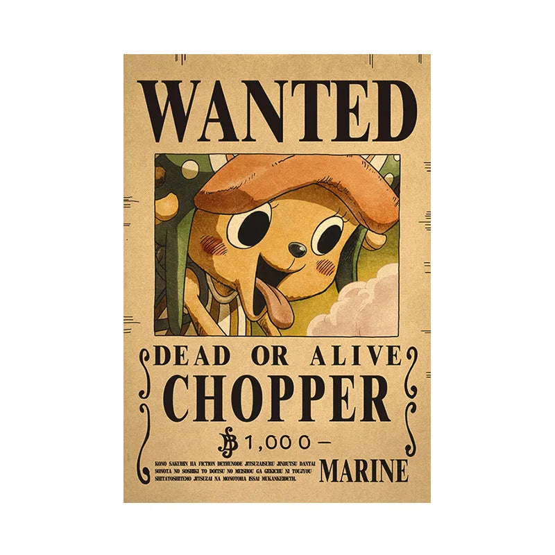One Piece - Avis de recherche