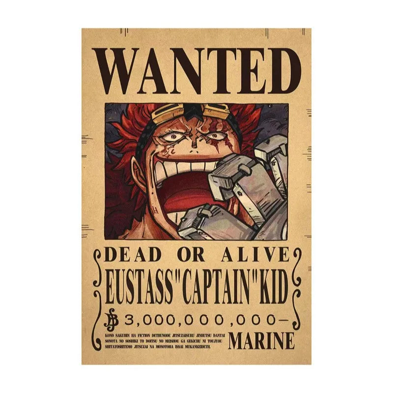 One Piece - Avis de recherche
